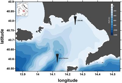 From Phenotypes to Genotypes and Back: Toward an Integrated Evaluation of Biodiversity in Calanoid Copepods